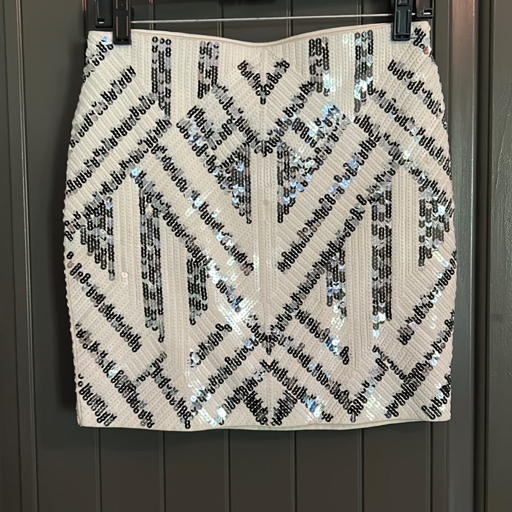 Sequin Skirt